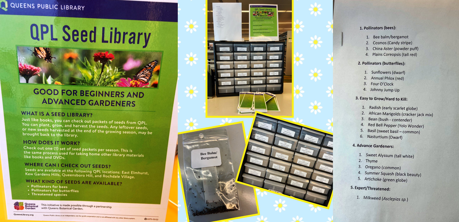 Pictures from a QPL Seed Library, courtesy of Basil E. Frankweiler.